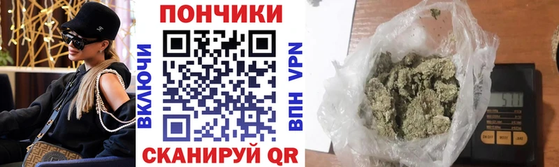 Шишки марихуана гибрид  купить наркоту  это формула  Покачи 